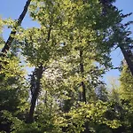 펜션 Forest 바이에리슈아이젠슈타인