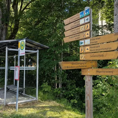 Forest - Perfekt Fuer Familien Und Freunde *