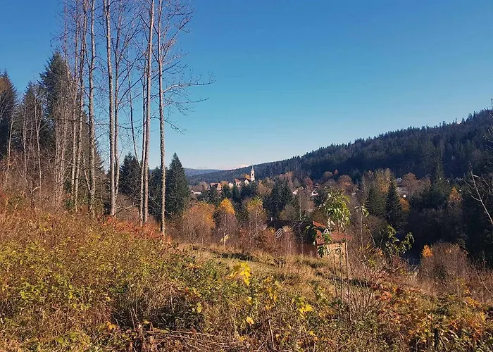 Casa vacanze Forest *